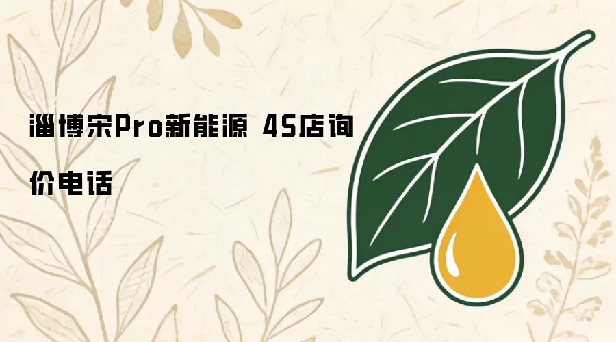 淄博宋Pro新能源 4S店询价电话