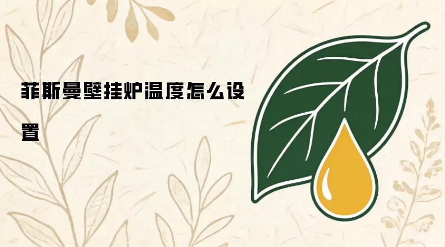 菲斯曼壁挂炉温度如何设置