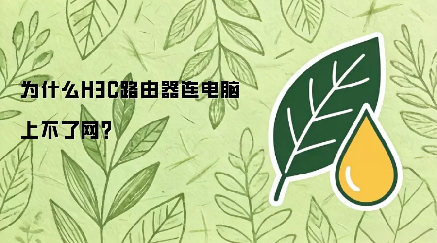 为什么H3C路由器连电脑上不了网?