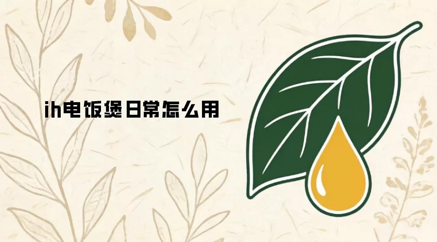 ih电饭煲日常怎么用