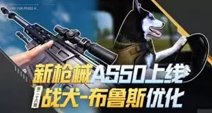 和平精英AS50狙击枪全新武器是什么