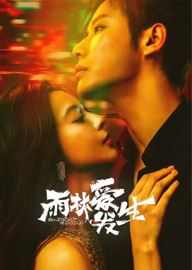 电视剧《雨林爱发生》剧情说明
