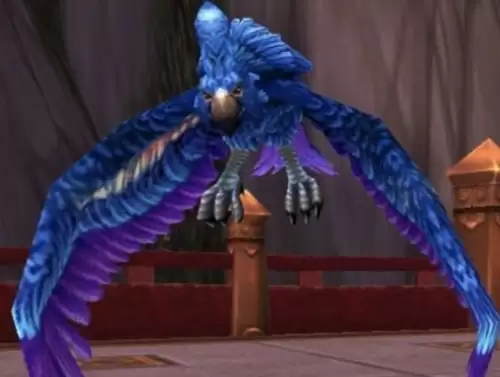 魔兽世界花羽鹦鹉宠物掉落位置一览