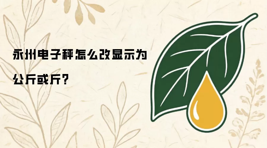 永州电子秤如何改显示为公斤或斤？