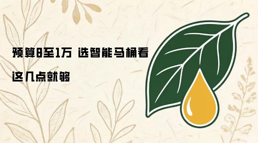 预算8至1万 选智能马桶看这几点就够