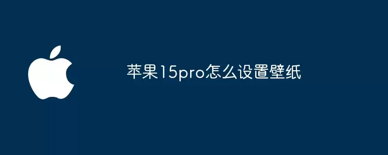 苹果15pro如何设置壁纸