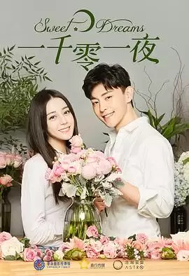 电视剧《一千零一夜》剧情说明