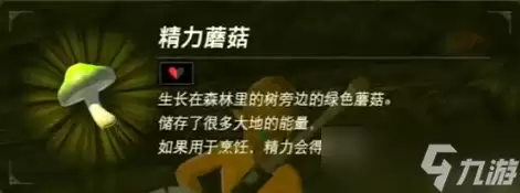 塞尔达传说旷野之息防寒服怎么获得
