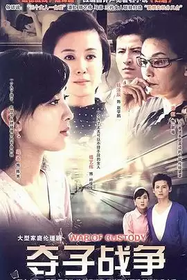 电视剧《妇道之夺子战争》剧情介绍