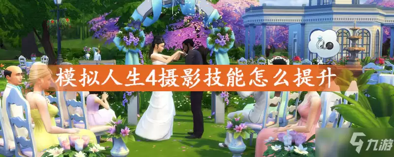 模拟人生4摄影技能怎么提升