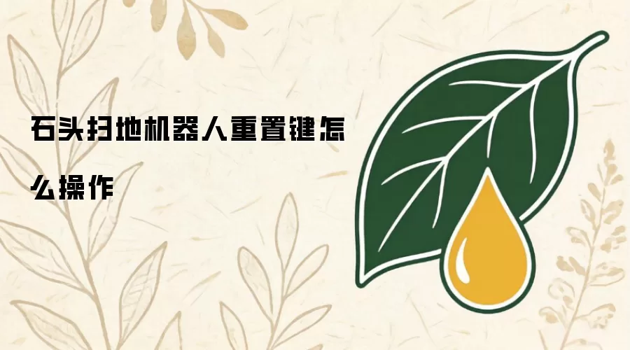 石头扫地机器人重置键如何操作