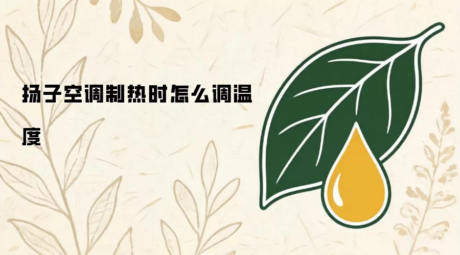 扬子空调制热时如何调温度
