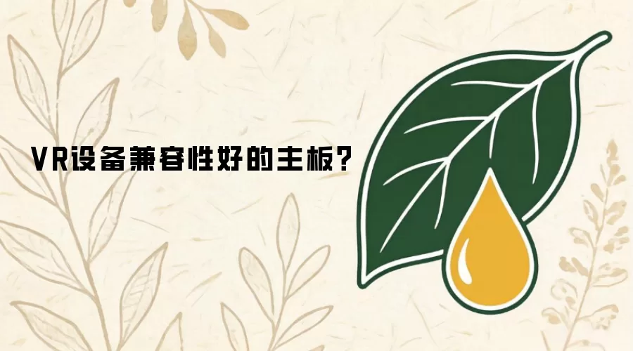 VR设备兼容性好的主板？