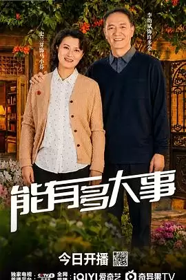 电视剧《能有多大事》剧情说明
