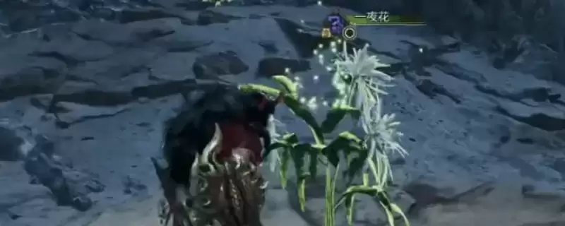 《怪物猎人：荒野》攻略——刷一夜花攻略说明