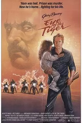 电影《虎之眼》剧情介绍