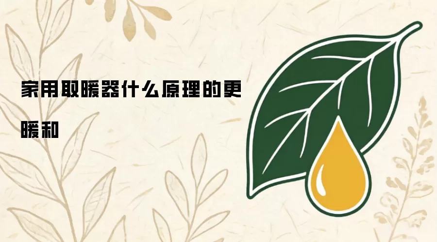 家用取暖器什么原理的更暖和