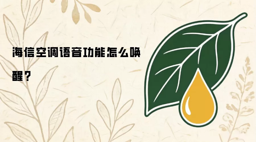海信空调语音功能怎么唤醒?