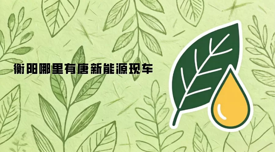 衡阳哪里有唐新能源现车