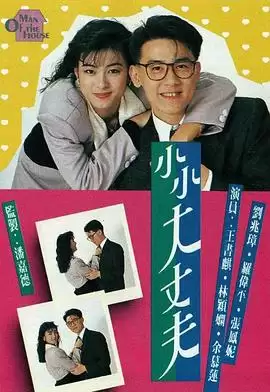 电视剧《小小大丈夫粤语》剧情介绍