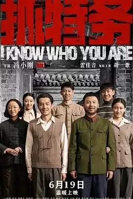 电影《抓特务》剧情说明