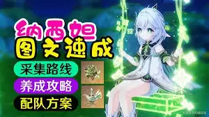 原神纳西妲怎么培养