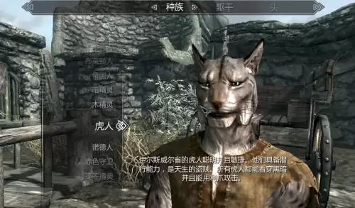 上古卷轴5开局选什么种族好-老滚5新手种族职业推荐