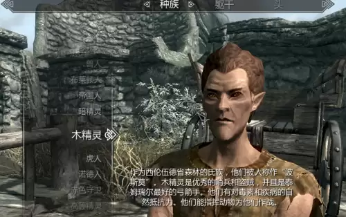 上古卷轴5开局选什么种族好-老滚5新手种族职业推荐