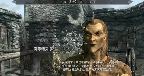 上古卷轴5开局选什么种族好-老滚5新手种族职业推荐