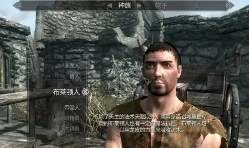 上古卷轴5开局选什么种族好-老滚5新手种族职业推荐