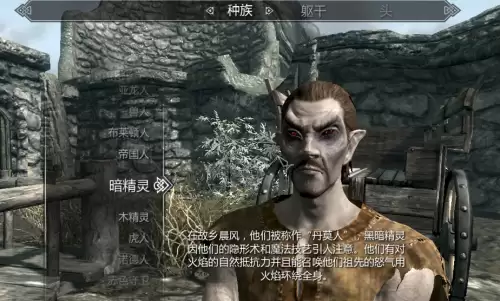 上古卷轴5开局选什么种族好-老滚5新手种族职业推荐