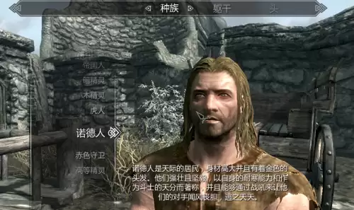 上古卷轴5开局选什么种族好-老滚5新手种族职业推荐