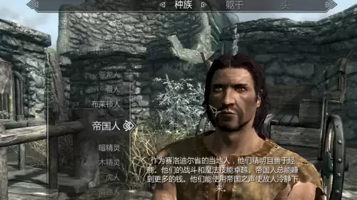 上古卷轴5开局选什么种族好-老滚5新手种族职业推荐
