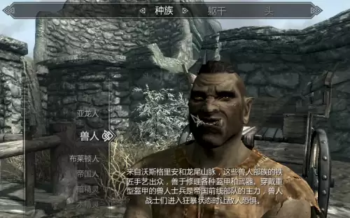 上古卷轴5开局选什么种族好-老滚5新手种族职业推荐