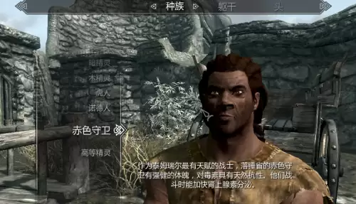 上古卷轴5开局选什么种族好-老滚5新手种族职业推荐
