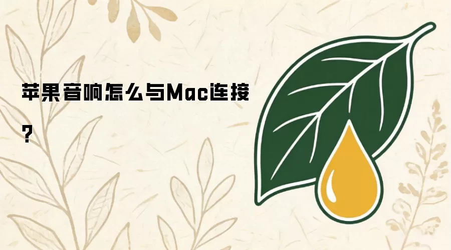 苹果音响如何与Mac连接？