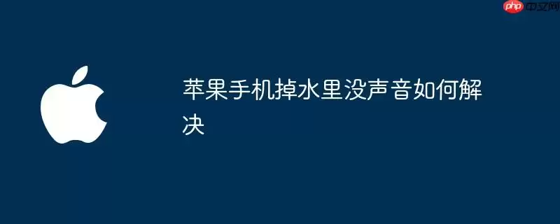 苹果手机掉水里没声音如何解决