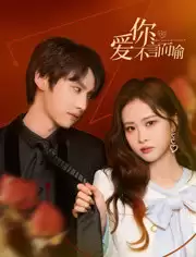 电视剧《爱你不言而喻》剧情说明