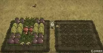 饥荒农作物种植有哪些实用技巧