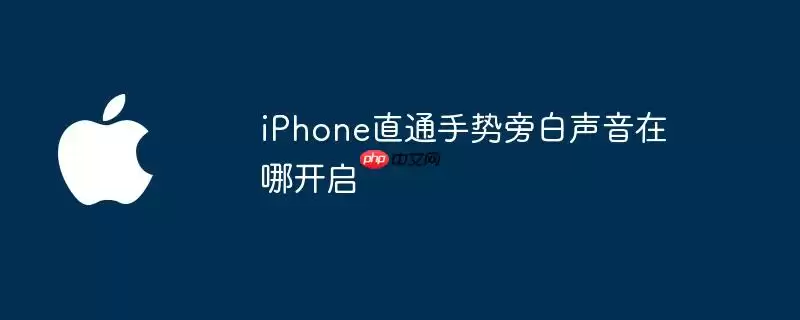 iPhone直通手势旁白声音在哪开启