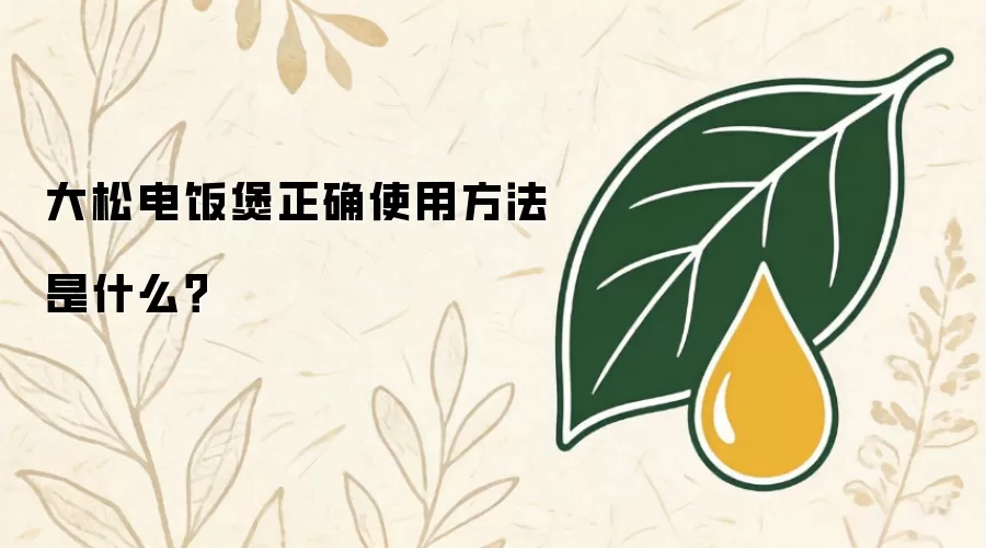 大松电饭煲正确使用方法是什么？
