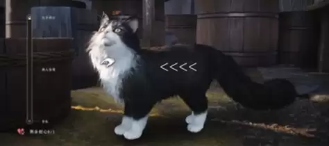 给猫猫顺毛 给猫猫顺毛