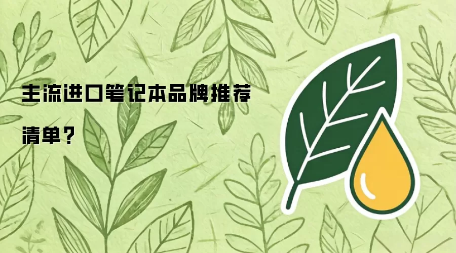 主流进口笔记本品牌推荐清单？