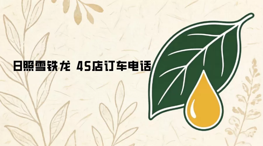 日照雪铁龙 4S店订车电话