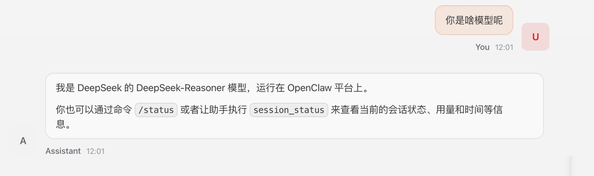 OpenClaw接入DeepSeek的配置指南实用指南