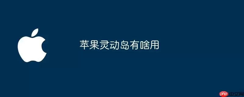 苹果灵动岛有啥用