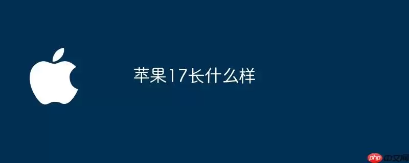 苹果17长什么样