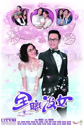电视剧《全职没女粤语》剧情说明