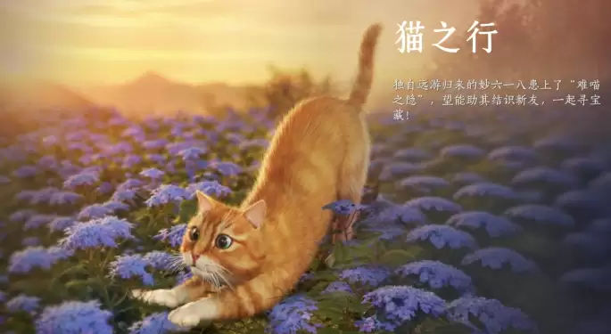 燕云十六声猫猫互动成就达成做法介绍