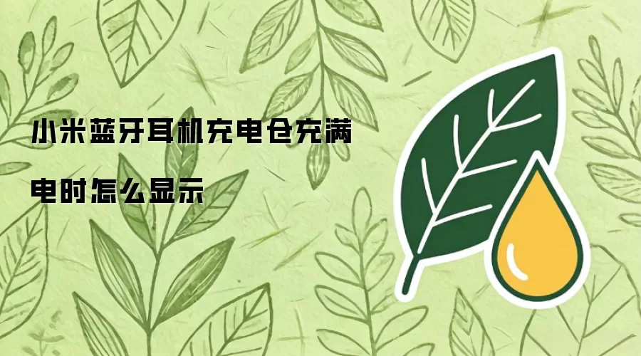 小米蓝牙耳机充电仓充满电时如何显示
